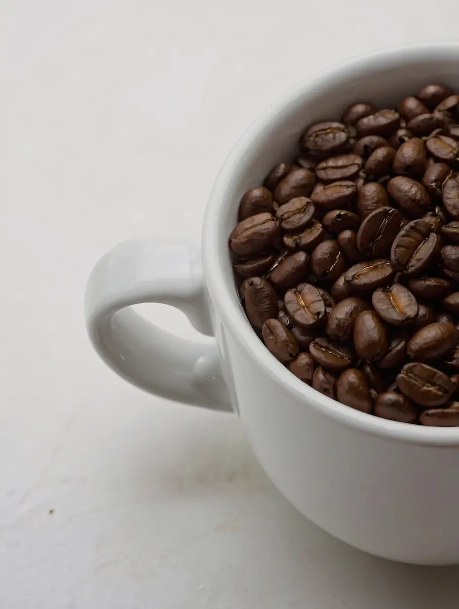 KidangaCafe Portfolio – Modern Café Website by Kidanga
